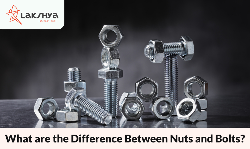 What are the Difference Between Nuts and Bolts?